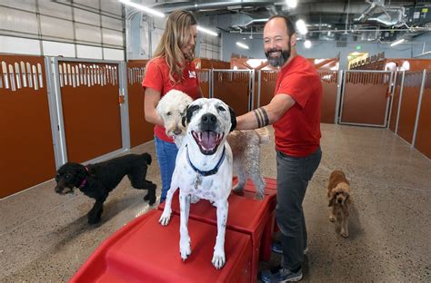 bow wow pet resort|bow wow dog day care.